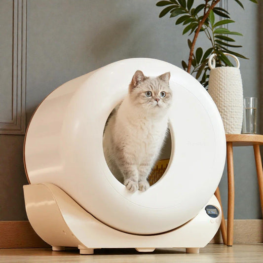 Litière automatique intelligente connectée FurryTail