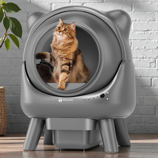 Litière Magique Chat